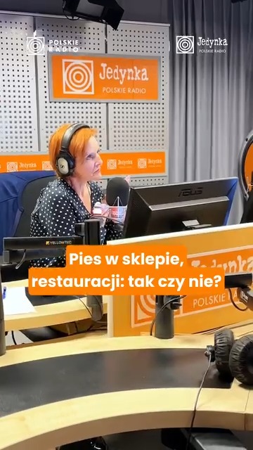 Kadr z materiału „Katarzyna Gonera w audycji Cztery Pory Roku”